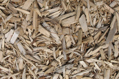 biomass boilers Rodel